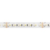 STRIP LED CC112096 224LED/MT 19.2W/MT 10MM IP20 24V RGB+4000K