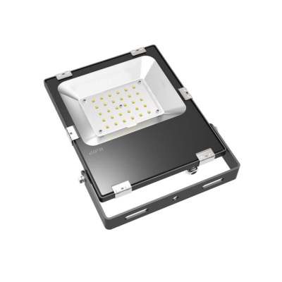 PROIETTORE PRO CP3-50W III SMD3030 5000K